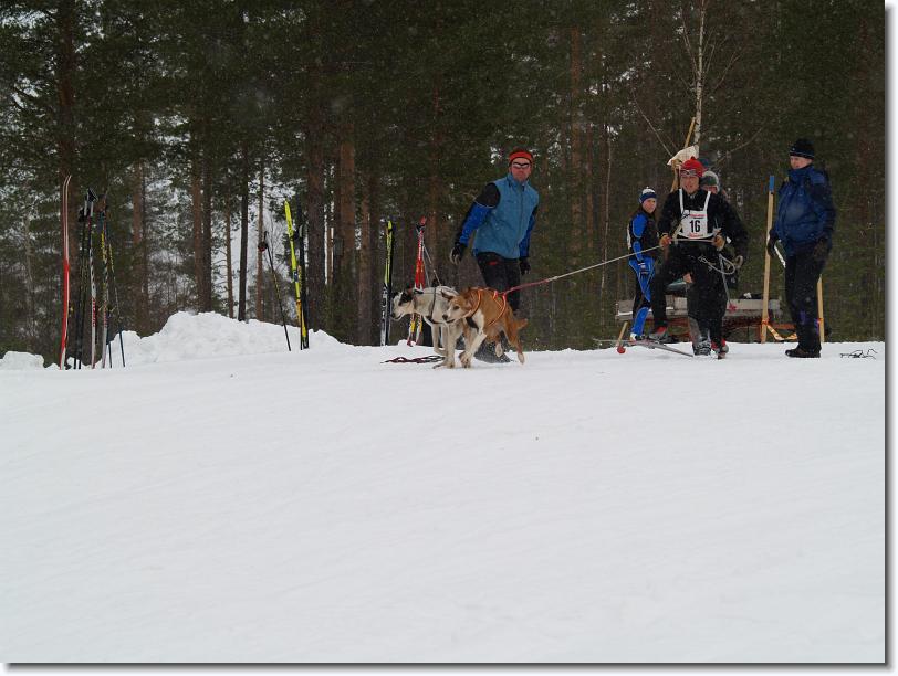 Nästa bild